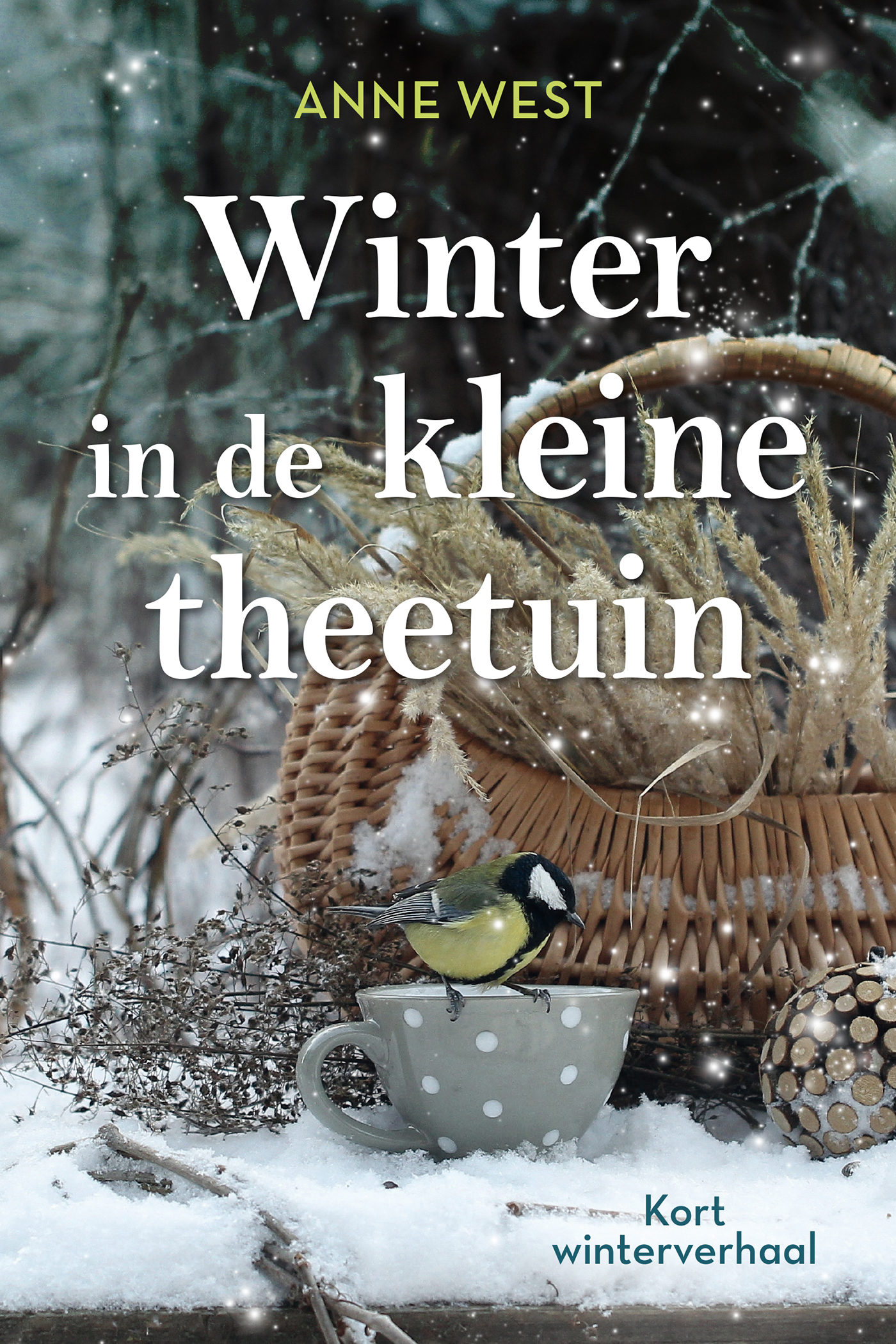 eBook_8x_Korte winterverhalenNW.indd