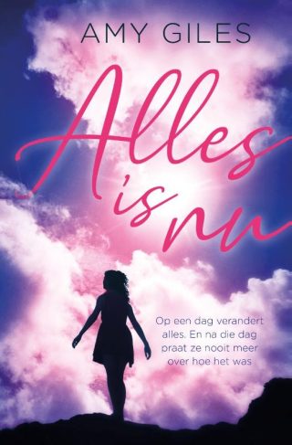 Alles is nu - cover