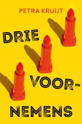 Drie voornemens - cover