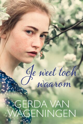 Je weet toch waarom - cover