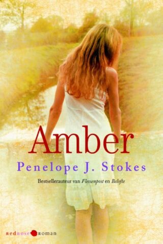 Amber - cover