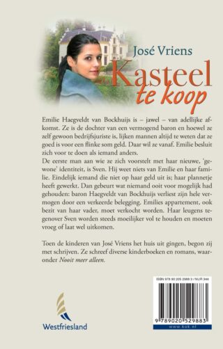 Kasteel te koop - achterkant