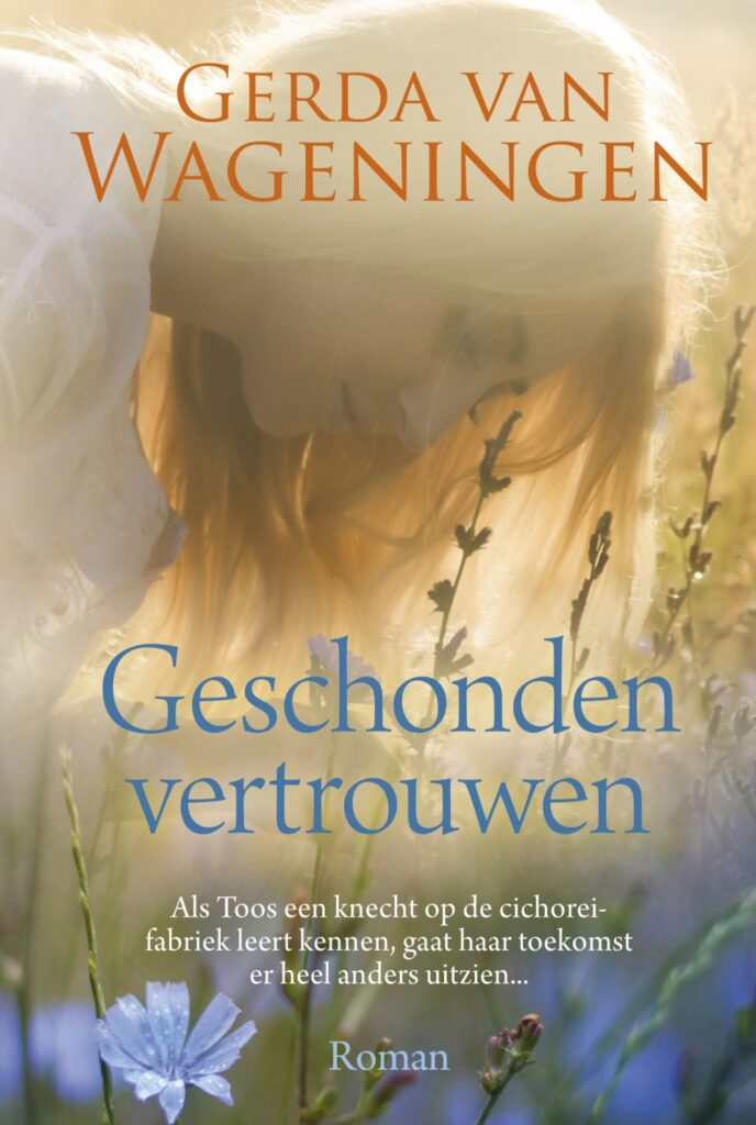 Geschonden vertrouwen