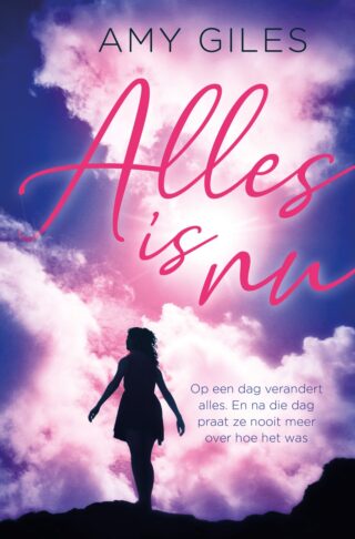 Alles is nu - cover