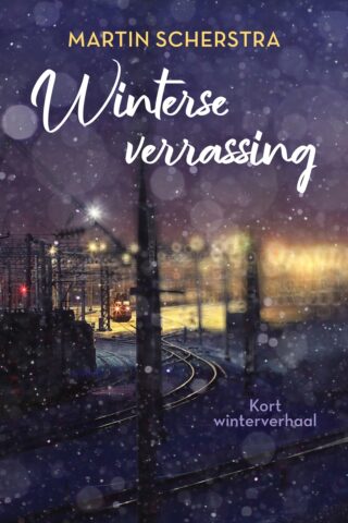 Winterse verrassing - cover