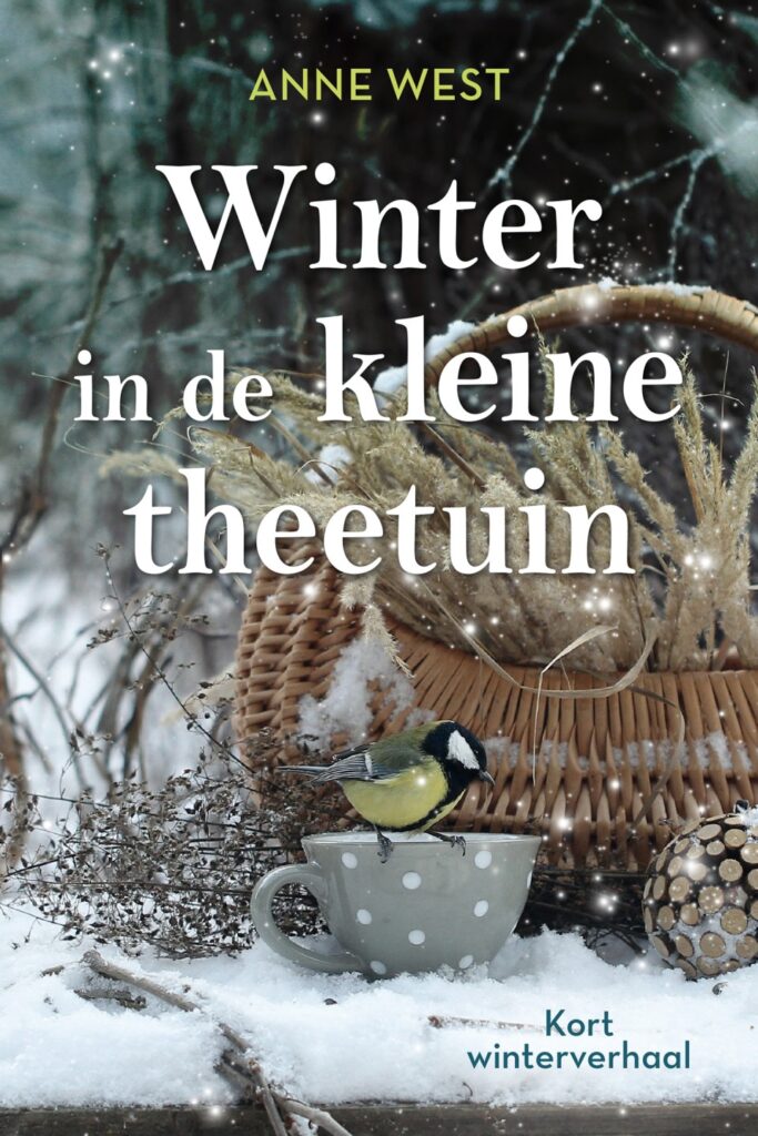Winter in de kleine theetuin