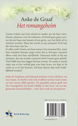 Het romangeheim - achterkant