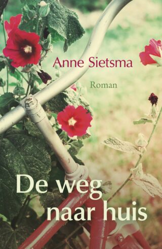 De weg naar huis - cover